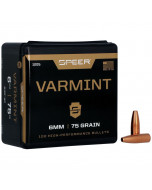 SPEER Palle Varmint Hallow Point 243" 75gr HP #1205 (100pz)