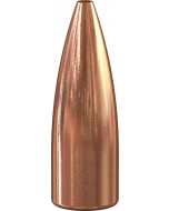 SPEER Palle TNT 277" 90gr HP TNT #1446 (100pz)