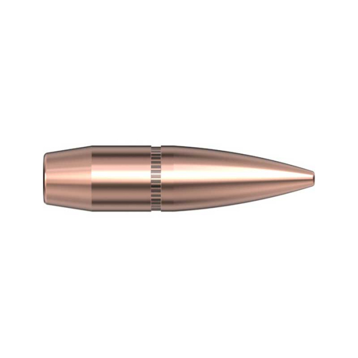 HORNADY Palle 312" 174gr FMJ-BT (303) #3131 (100pz)